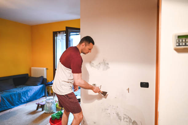Office Mold Removal Services in Hermantown, MN